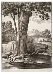 Der Fuchs und die Katze